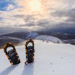 Winter tour Lapland