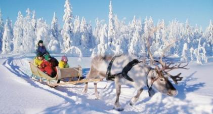 Reindeer Safari in Rovaniemi