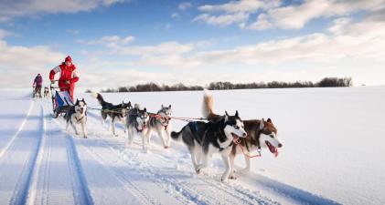 Guided Lapland tours