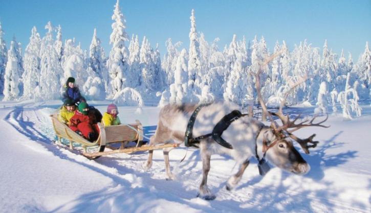 Reindeer ride in Lapland