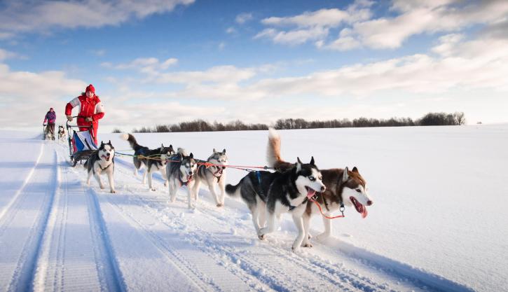 Guided Lapland tours