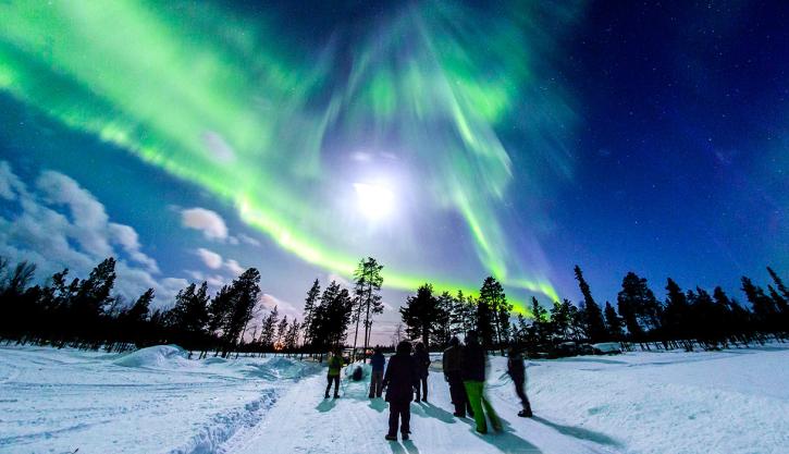Aurora Borealis Hunt in Lapland