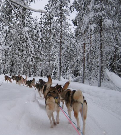 Lapland luxury holidays