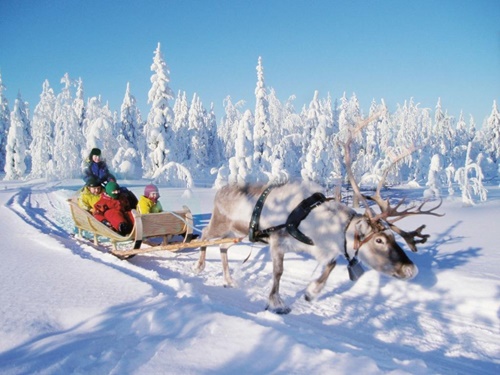 Lapland Tours