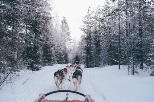 Lapland luxury holidays